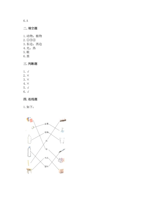 教科版二年级上册科学期末测试卷含完整答案（历年真题）.docx