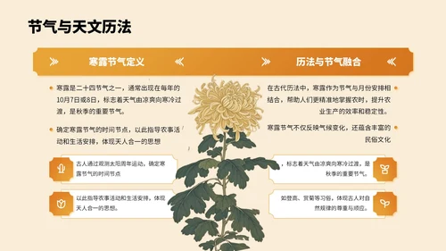 橙色中国风寒露节气PPT模板