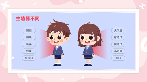 红色卡通男生女生不一样两性教育PPT模板