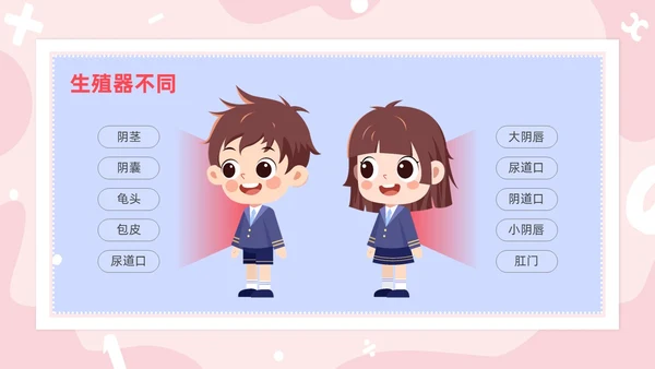 红色卡通男生女生不一样两性教育PPT模板