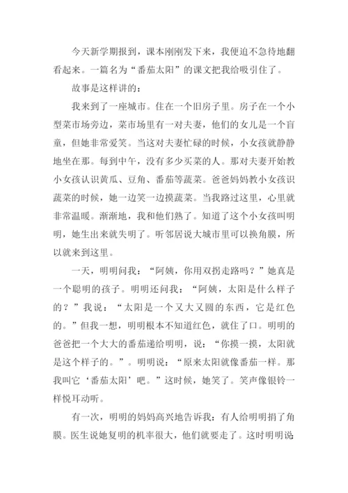 番茄太阳读后感.docx