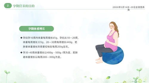 绿色清新淡雅孕期营养知识科普课件PPT全民营养周