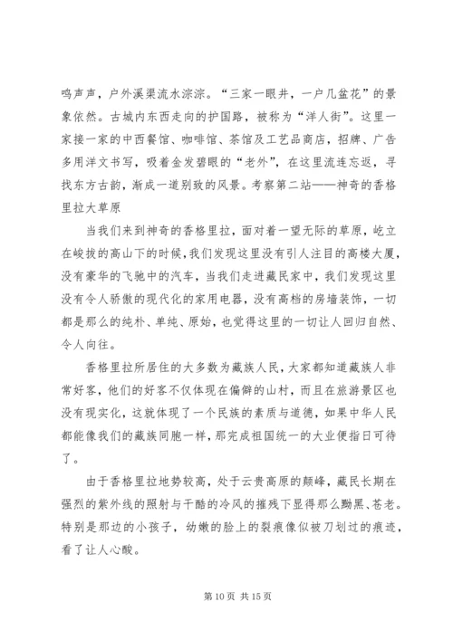 布艺扎染考察报告范文.docx