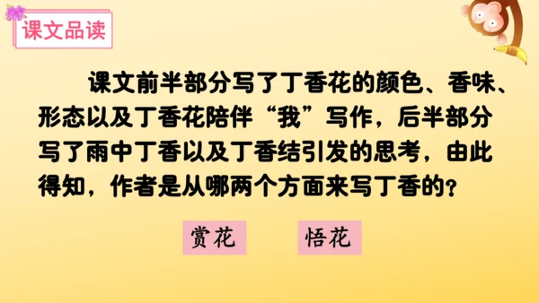 2 丁香结  课件