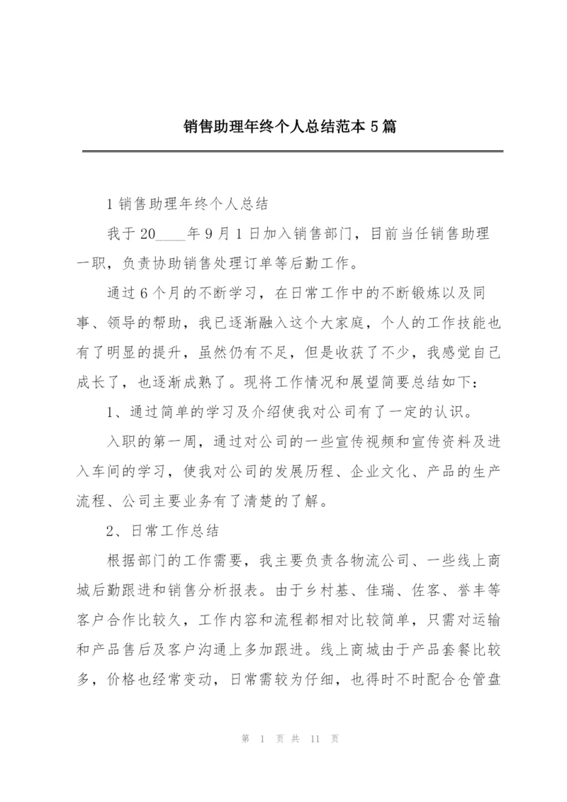 销售助理年终个人总结范本5篇.docx