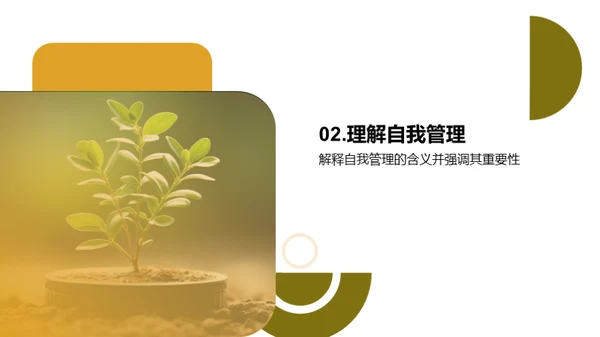 掌握自我管理，成就自我成长