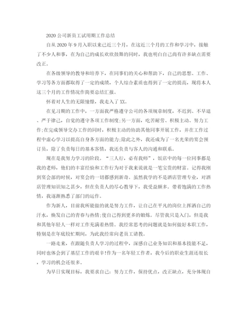 精编之公司新员工试用期的工作总结范文.docx