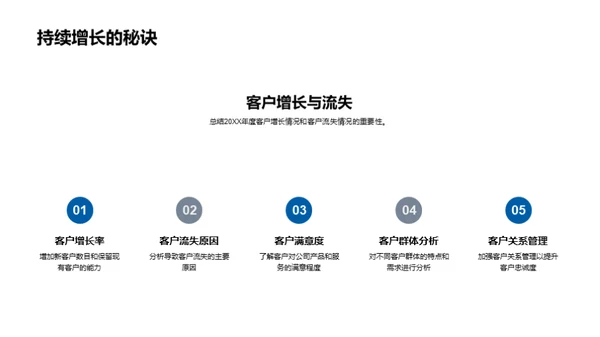 20XX年度业绩与策略解析