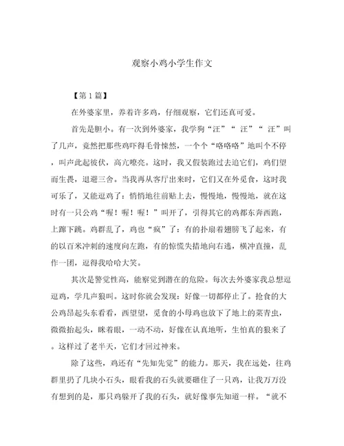 观察小鸡小学生作文