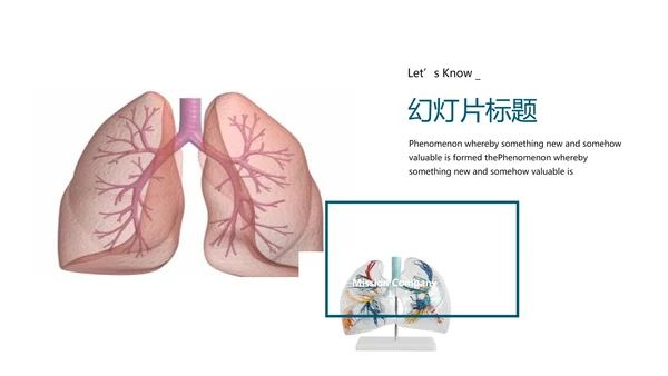 人体器官分布医学医疗ppt动态模板
