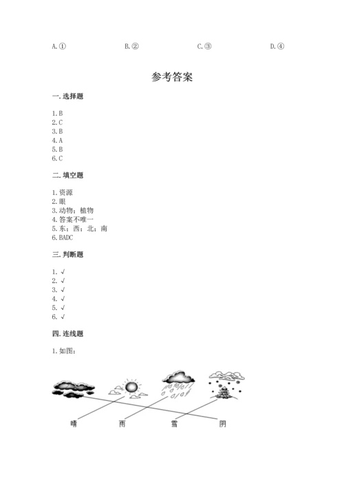教科版科学二年级上册《期末测试卷》（典型题）.docx
