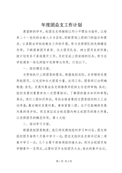 年度团总支工作计划 (3).docx