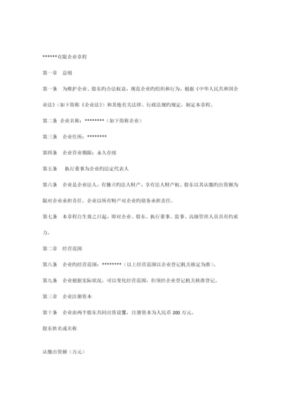 条有限责任公司章程条不设董事会监事会只设执行董事监事.docx