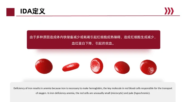 红色简约风缺铁性贫血常规知识培训PPT模板护理