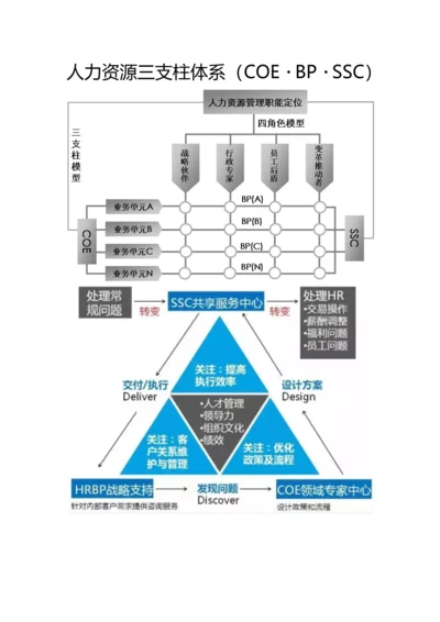 人力资源三支柱体系.docx