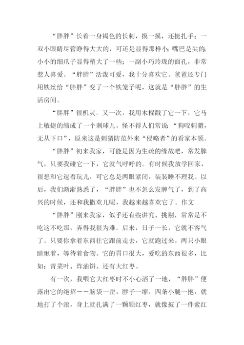 小刺猬作文600字.docx