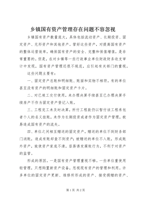 乡镇国有资产管理存在问题不容忽视_1.docx