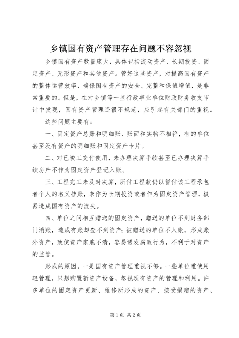 乡镇国有资产管理存在问题不容忽视_1.docx