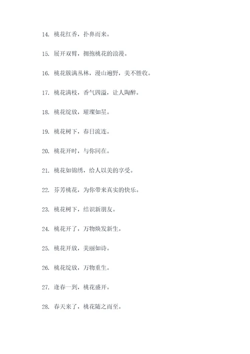 描写桃树的标语