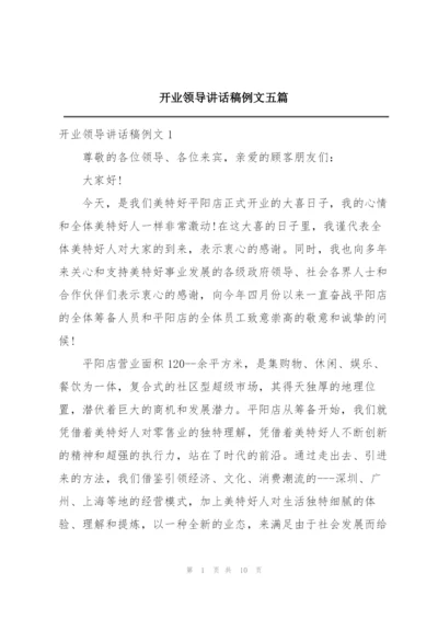 开业领导讲话稿例文五篇.docx