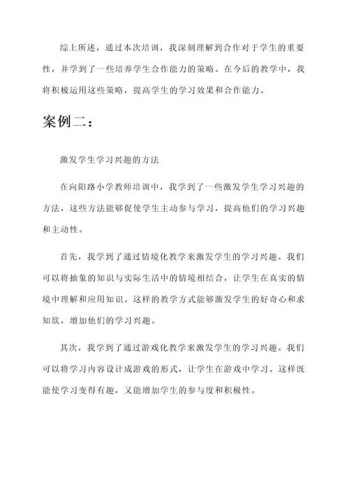 向阳路小学教师培训心得