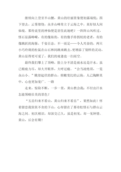 初识黄山作文800字.docx
