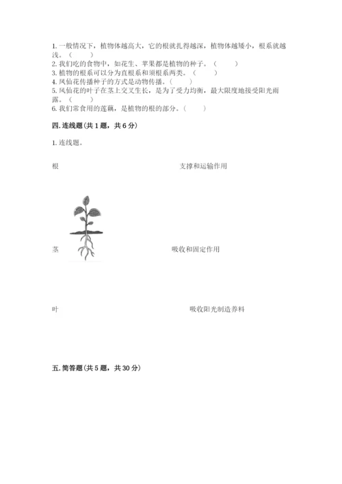 科学四年级下册第一单元《植物的生长变化》测试卷精品（考点梳理）.docx