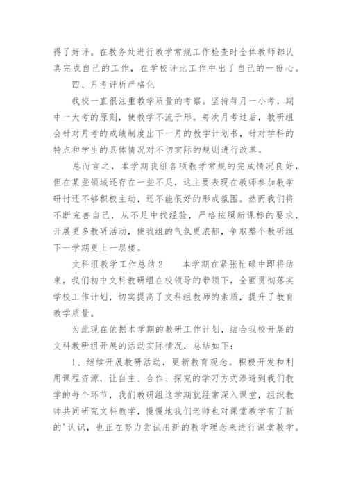 文科组教学工作总结.docx