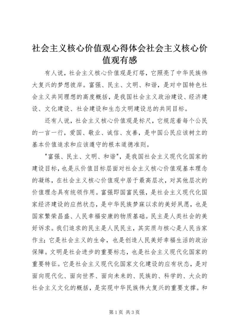 社会主义核心价值观心得体会社会主义核心价值观有感.docx