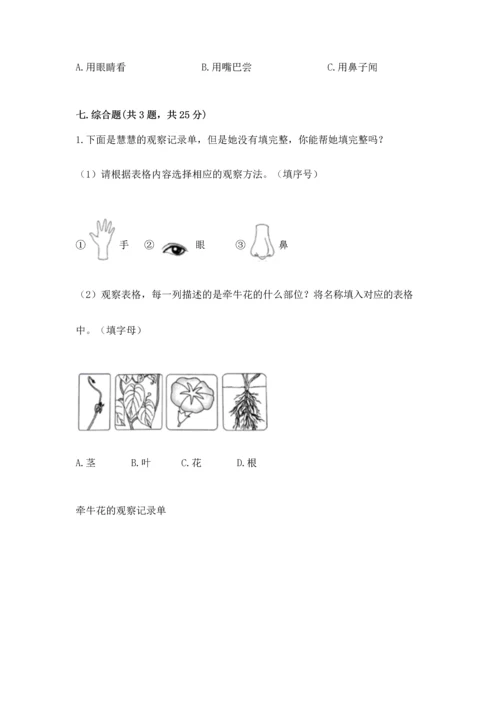 教科版科学一年级上册第一单元《植物》测试卷精品（考试直接用）.docx