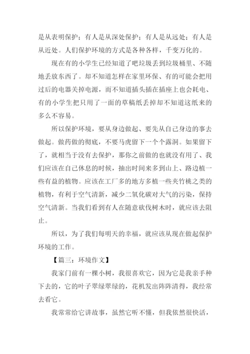 环境作文300字0.docx