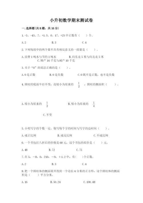 小升初数学期末测试卷新版.docx