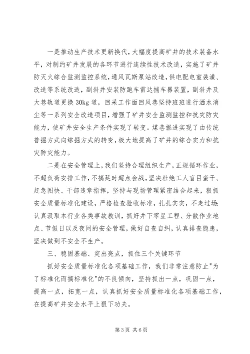 公司安全质量标准化经验交流材料.docx