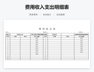 费用收入支出明细表