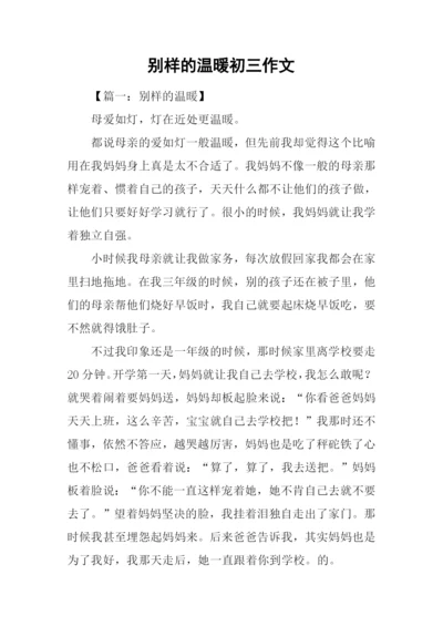 别样的温暖初三作文.docx