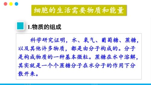 人教版（新课程标准）（2024）1.2.4细胞的生活(共41张PPT)