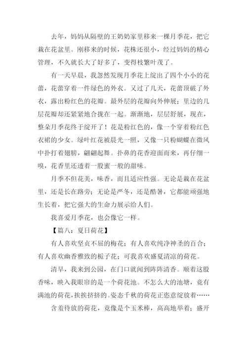 关于花的作文350字.docx