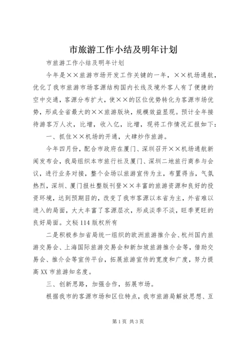 市旅游工作小结及明年计划 (7).docx