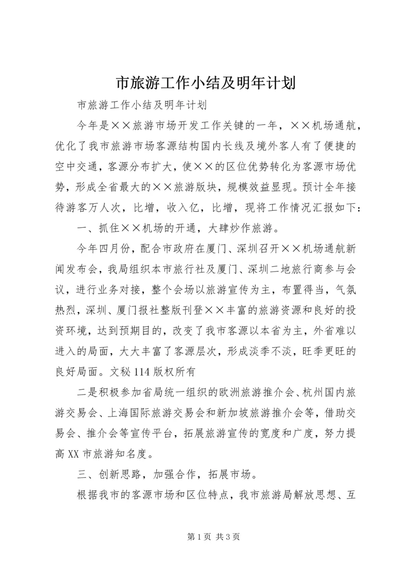 市旅游工作小结及明年计划 (7).docx