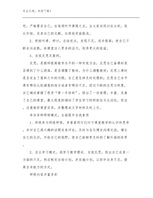 2024教师网络研修心得体会优选范文6篇.docx