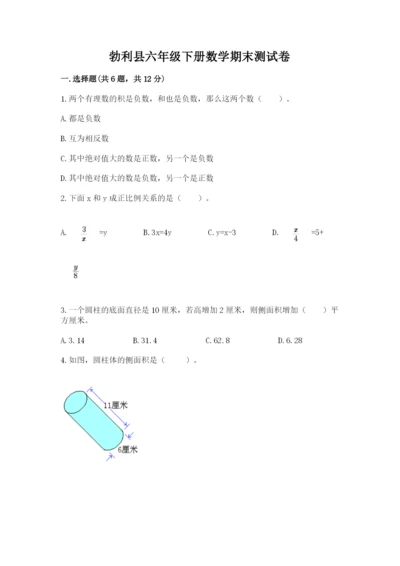 勃利县六年级下册数学期末测试卷标准卷.docx