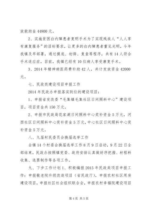 乡镇民政工作总结及工作计划.docx