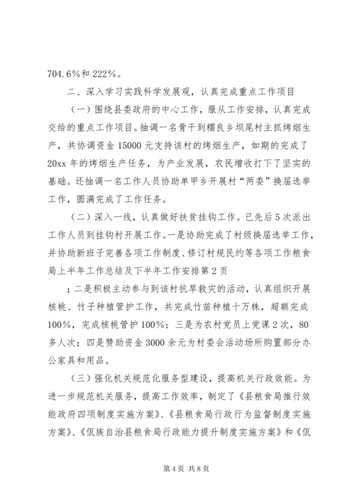 粮食局上半年工作总结及下半年工作安排精编.docx