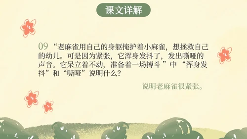 部编版四年级上册麻雀课件PPT模板