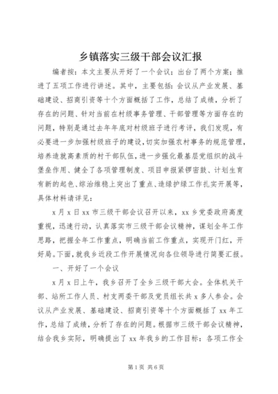 乡镇落实三级干部会议汇报.docx