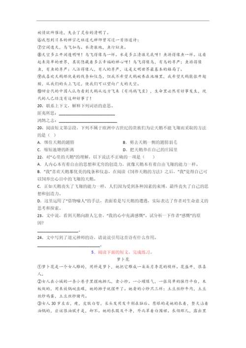 小学语文六年级阅读理解试题(含答案).docx