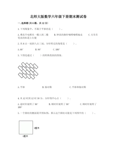 北师大版数学六年级下册期末测试卷【黄金题型】.docx