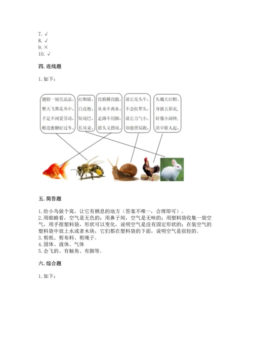 教科版一年级下册科学期末测试卷精品（预热题）.docx