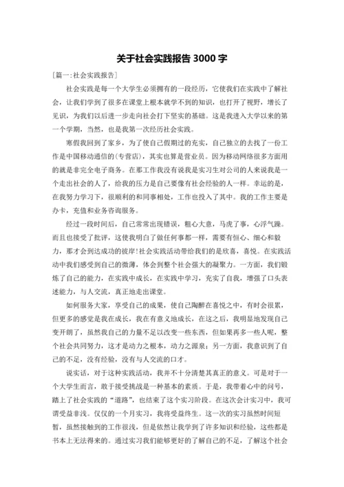 关于社会实践报告3000字.docx