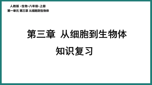 第一单元第三章从细胞到生物体（复习课件）-七年级生物上册同步教学精制课件（人教版2024）(共44张